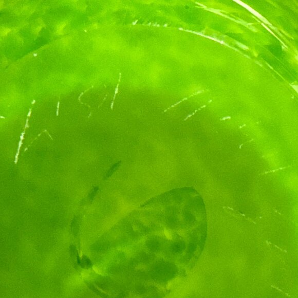 Hand Blown Glass Vase by Lisa Aronzon - Picture 9 of 9